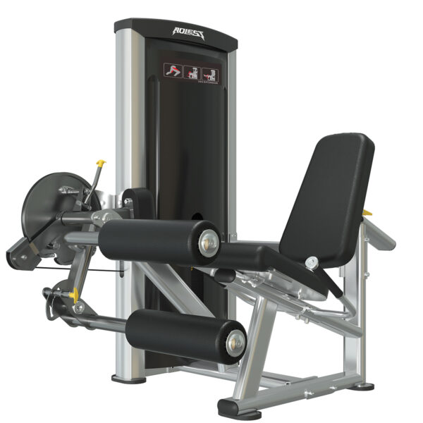 ALBRA13 Leg Curl & Extension