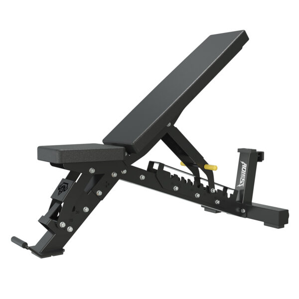 ALREP1902 Adjustable Bench