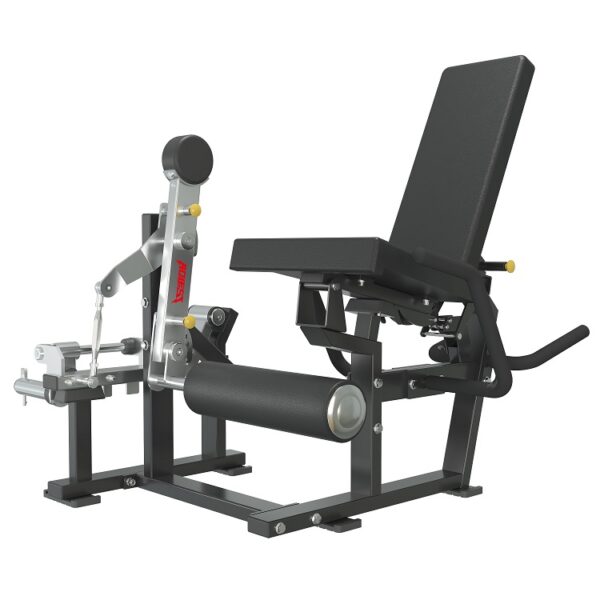 HM104   Seated Leg Curl & Extension